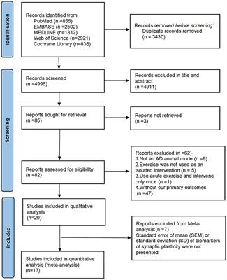 Effect of exercise on cognitive function and synaptic plasticity in Alzheimer's disease models: A systematic review and meta-analysis